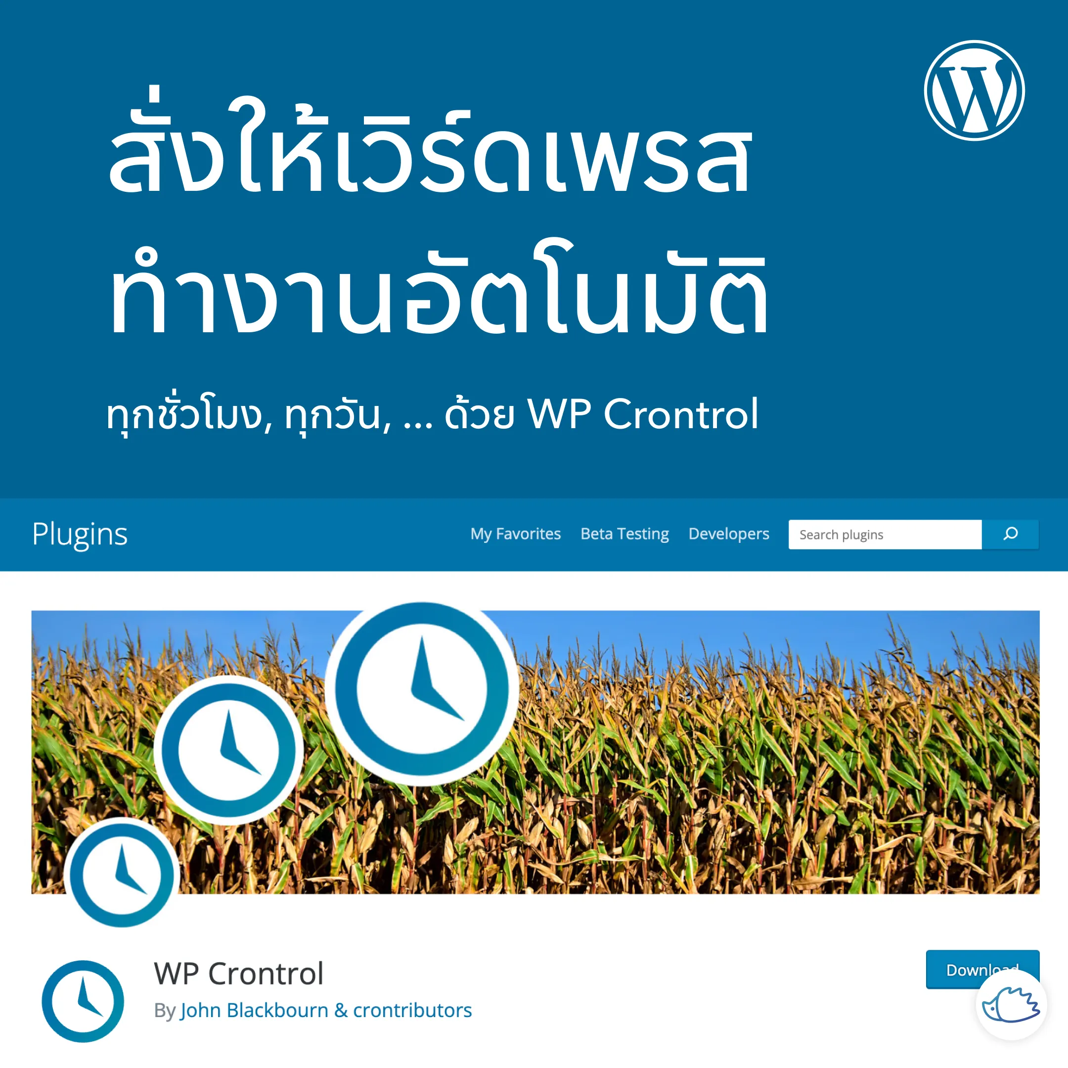 Automating WordPress Tasks with WP-Cron and WP Crontrol